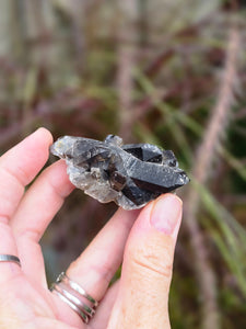 Smoky quartz cluster