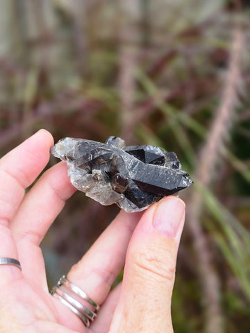 Smoky quartz cluster