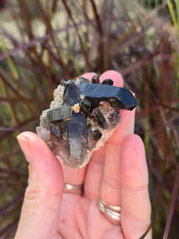 Smoky quartz cluster
