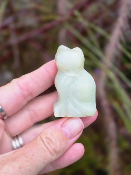 Green jade cat