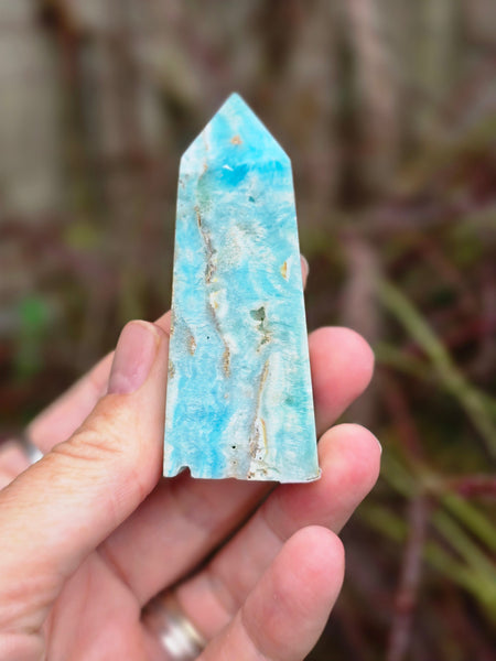 Caribbean calcite tower