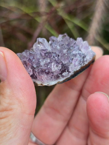Amethyst cluster