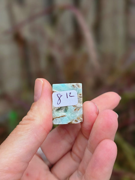 Caribbean calcite tower