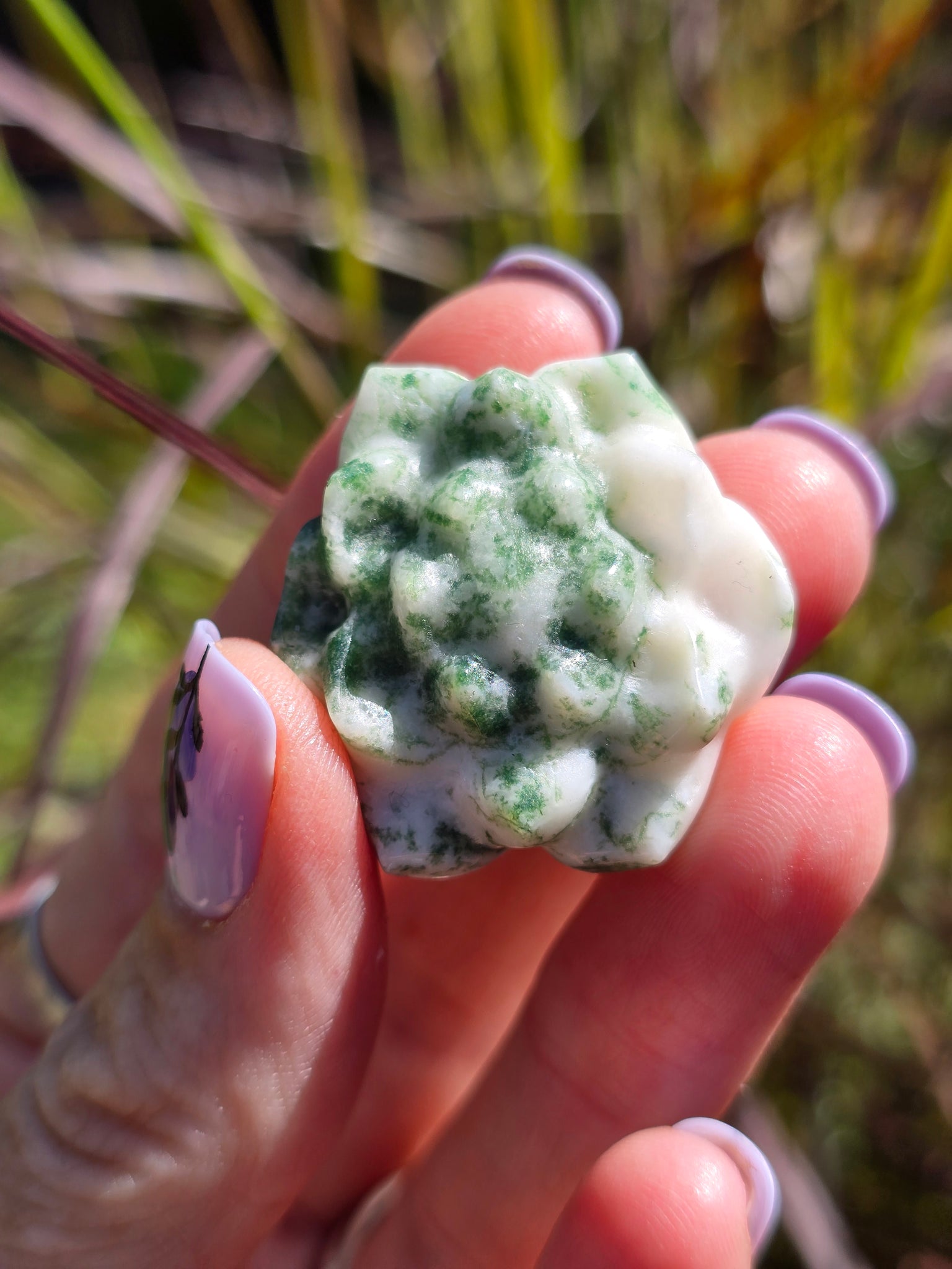 Tree agate lotus flower 🪷