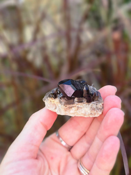 Smoky quartz cluster