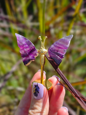 Rainbow fluorite butterfly 🦋