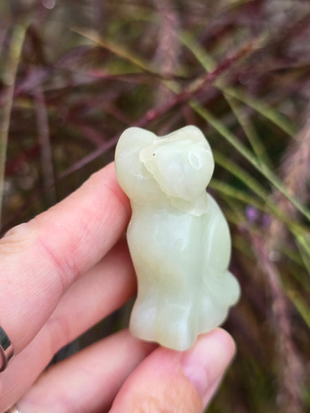 Green jade cat