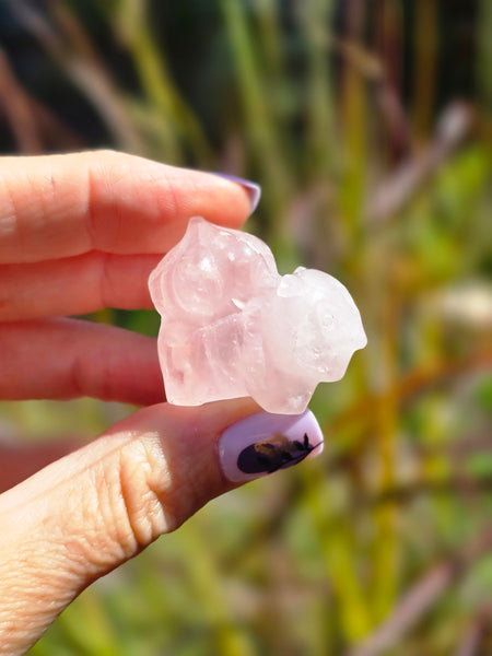 bulbasaur - Rose quartz ( damaged to ear )