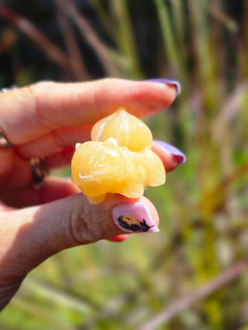 Bulbasaur - orange calcite