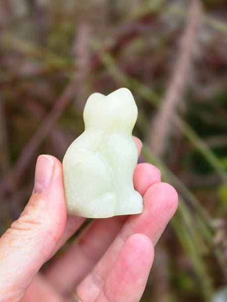 Green jade cat