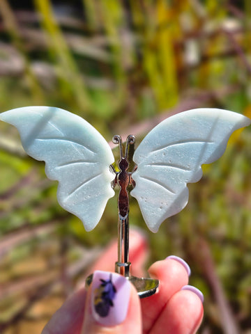 Caribbean calcite butterfly 🦋