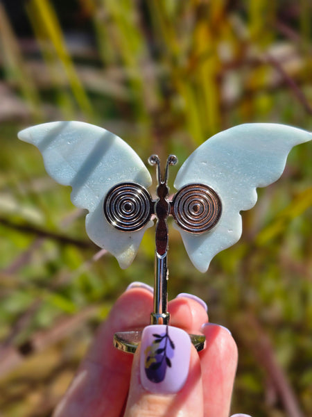 Caribbean calcite butterfly 🦋