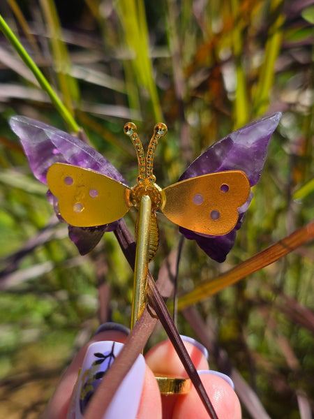 Rainbow fluorite butterfly 🦋